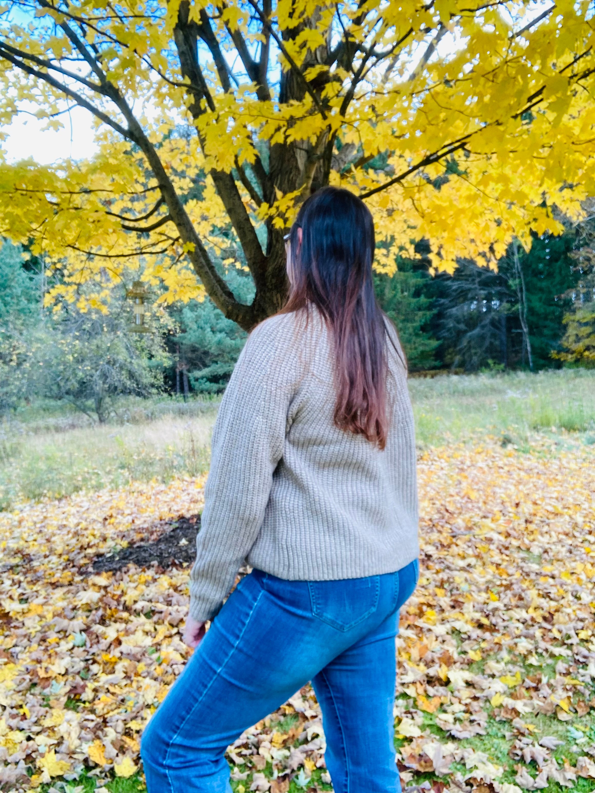 Top Notch Sweater